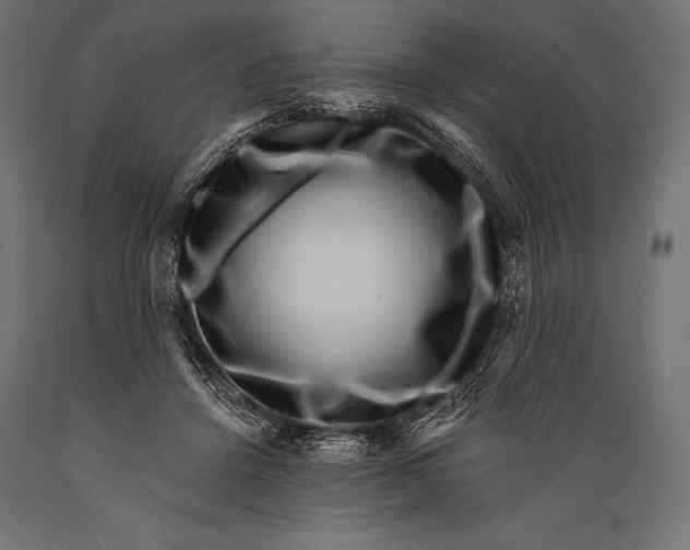 X0000088880456200706291607