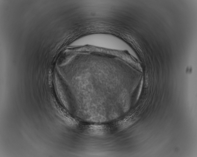 X0000088880457200706291607