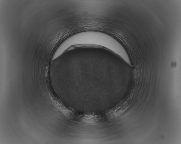 X0000088880458200706291607