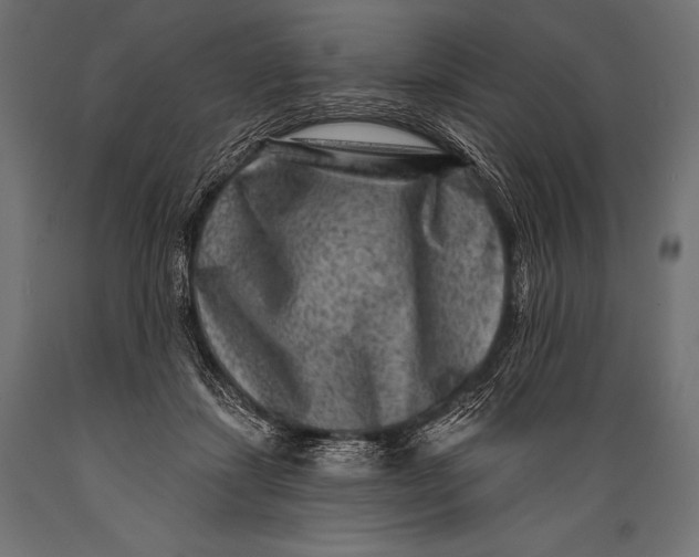 X0000088880459200706291607