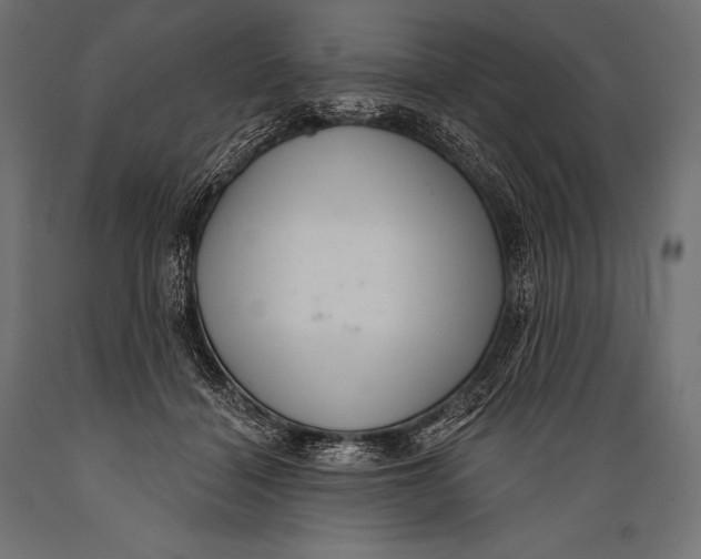 X0000088880460200706291607