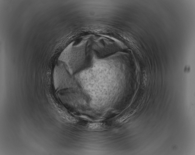 X0000088880461200706291607