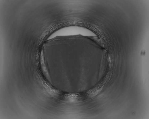 X0000088880462200706291607