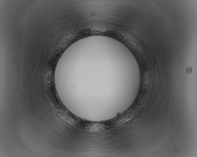 X0000088880463200706291607