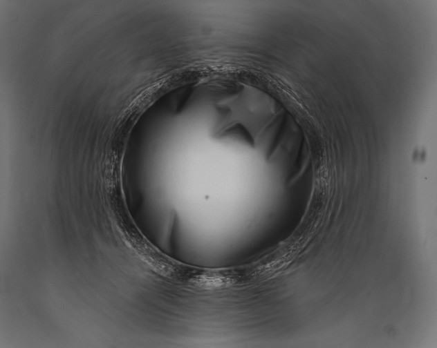 X0000088880464200706291608