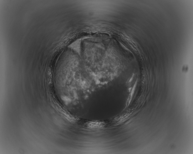 X0000088880465200706291608