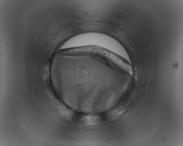 X0000088880466200706291608