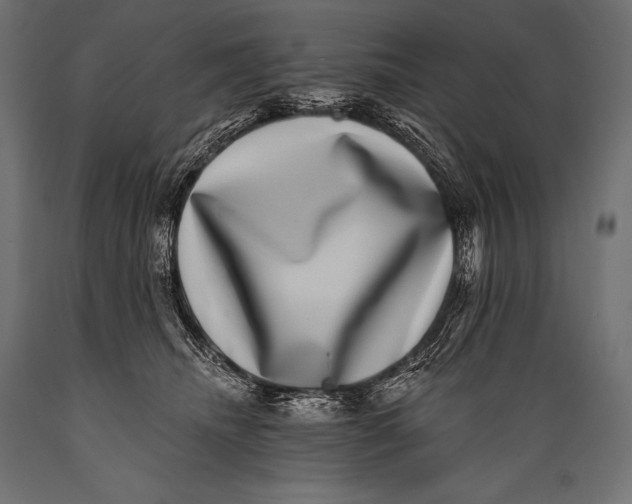 X0000088880468200706291608