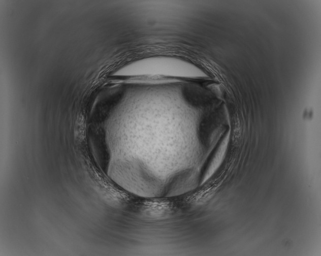 X0000088880469200706291608