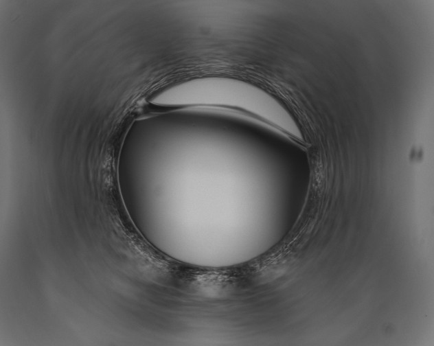 X0000088880470200706291608