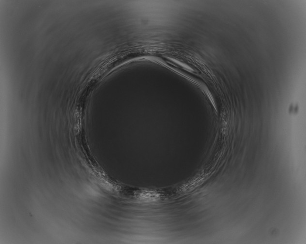 X0000088880471200706291608