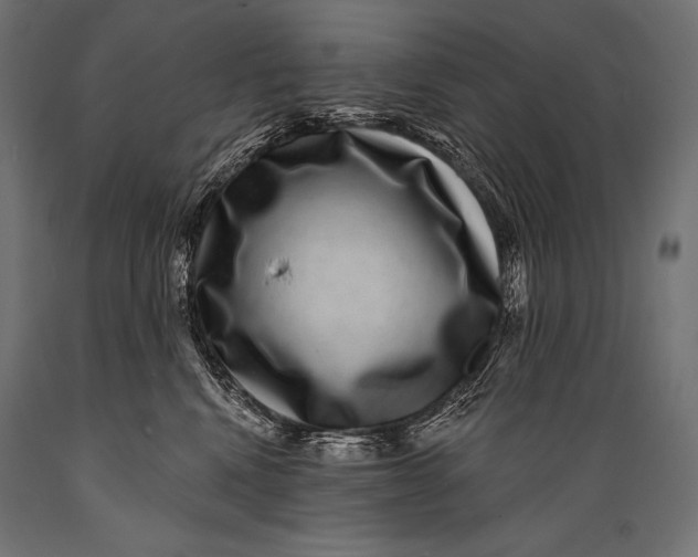 X0000088880472200706291608