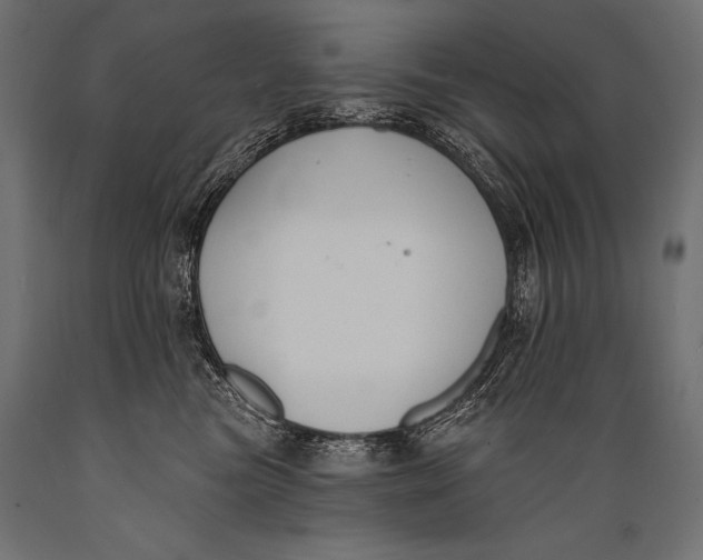 X0000088880473200706291608