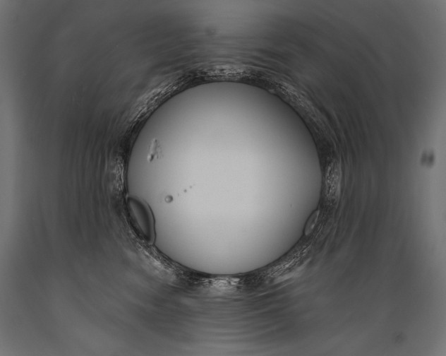 X0000088880474200706291608