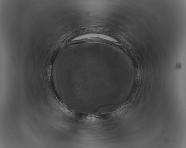 X0000088880475200706291608