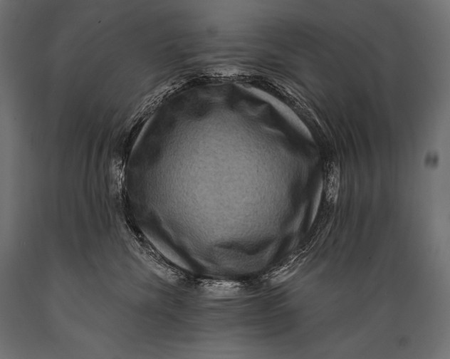 X0000088880476200706291608