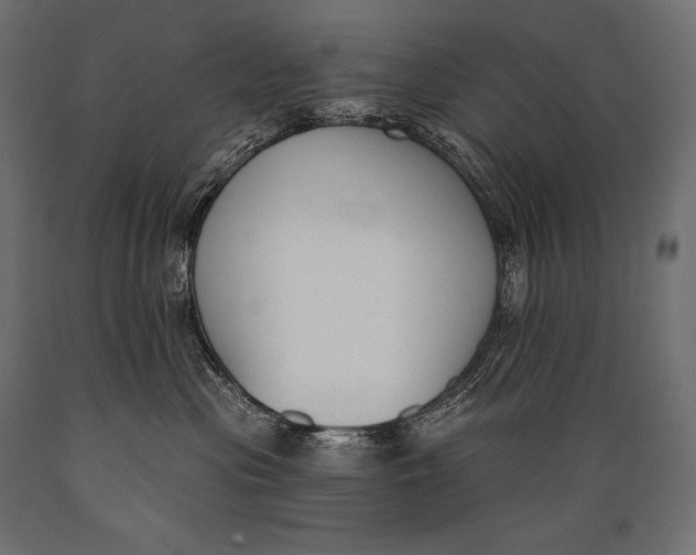 X0000088880477200706291608