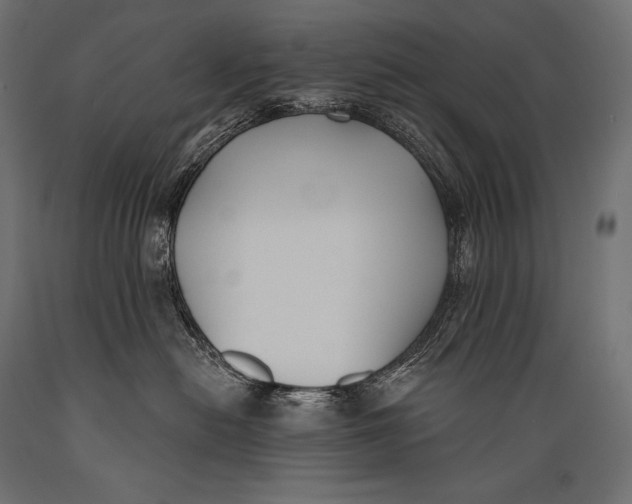 X0000088880478200706291608