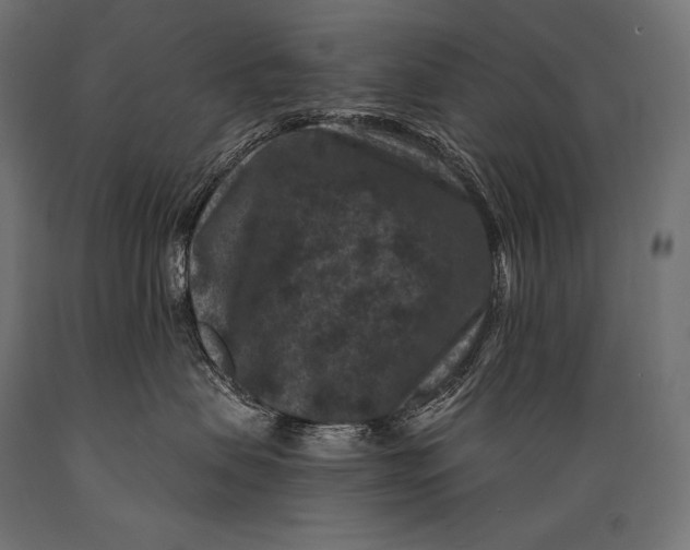 X0000088880479200706291608