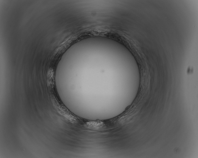 X0000088880480200706291608