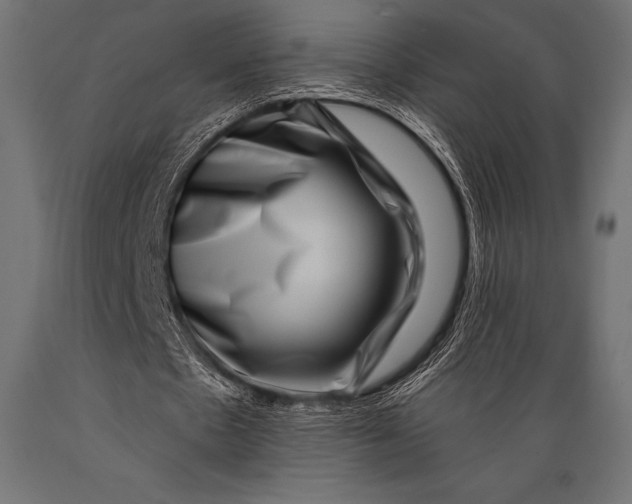 X0000088880481200706291607