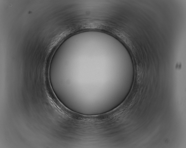 X0000088880482200706291607