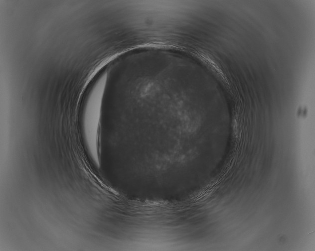 X0000088880484200706291607