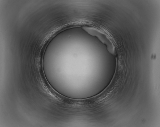 X0000088880485200706291607