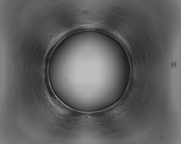 X0000088880486200706291607