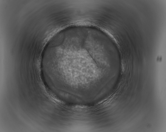 X0000088880487200706291607