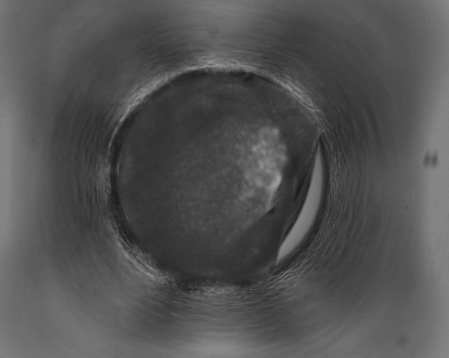 X0000088880488200706291607