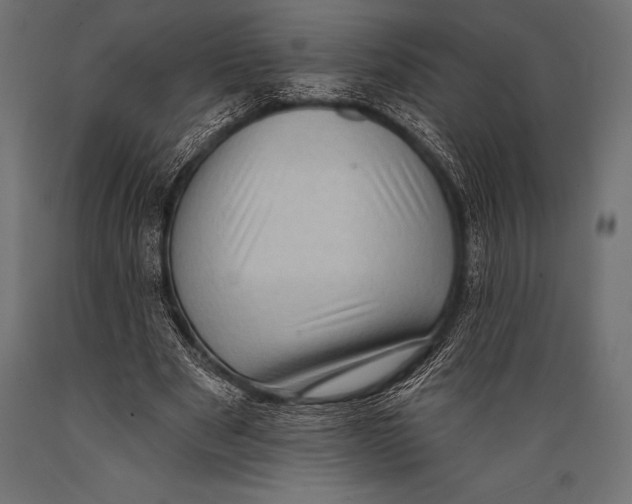 X0000088880489200706291607