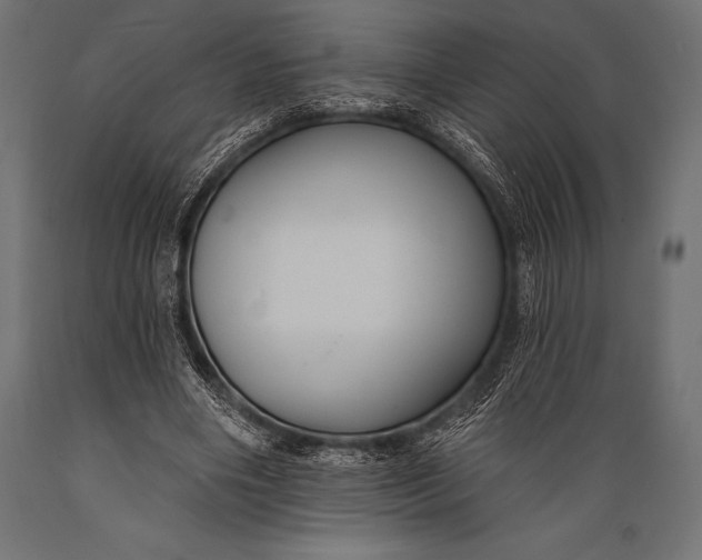 X0000088880490200706291607