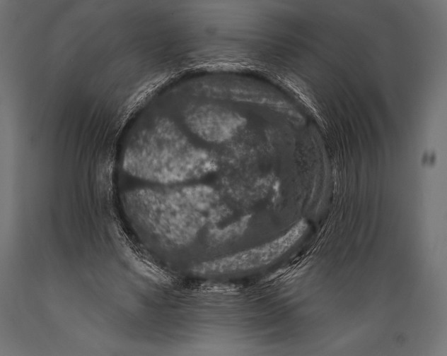 X0000088880491200706291607