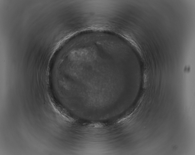 X0000088880492200706291607