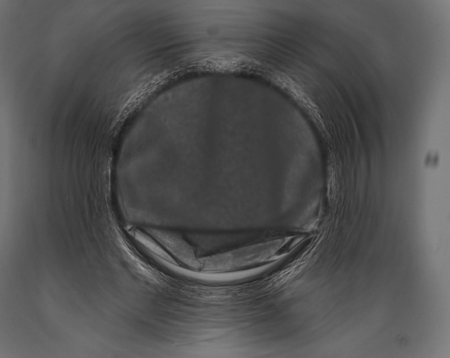 X0000088880493200706291607