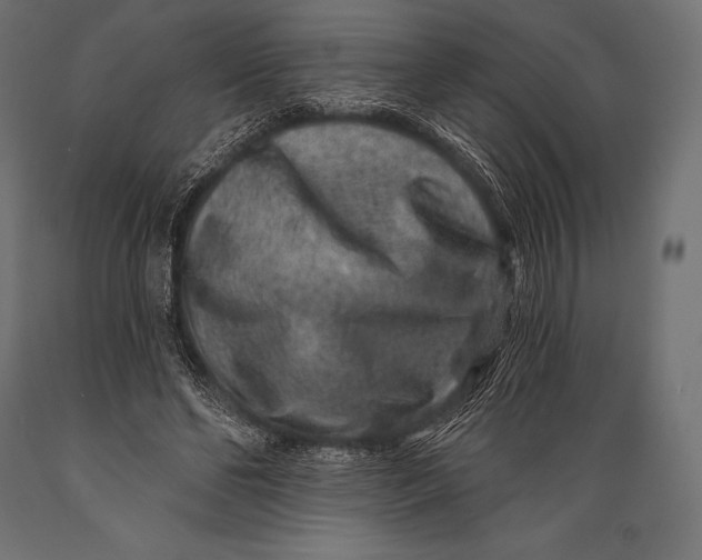 X0000088880494200706291607