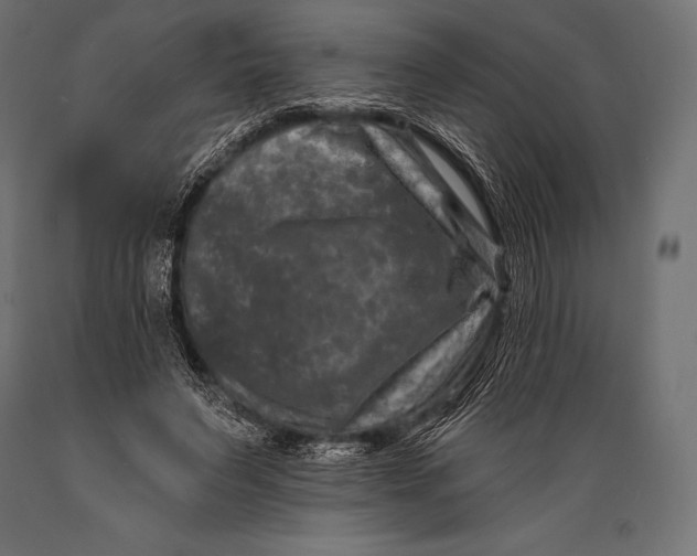 X0000088880495200706291607