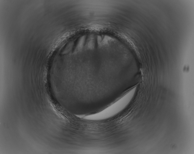 X0000088880496200706291607