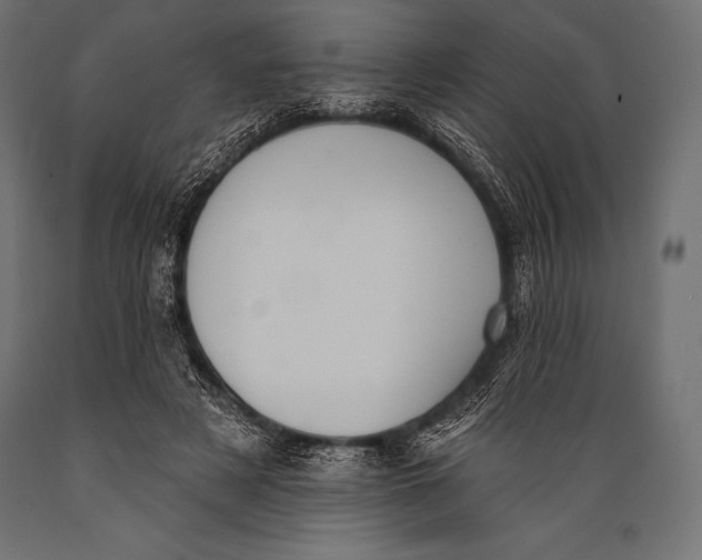 X0000088880497200706291606