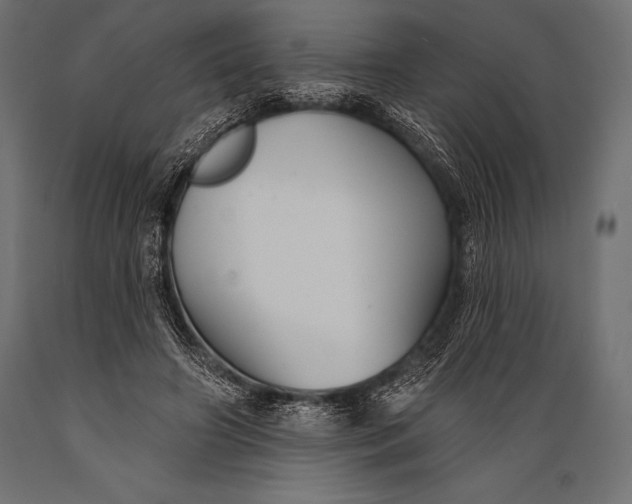 X0000088880498200706291606