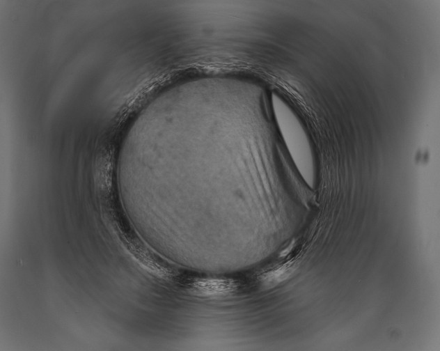 X0000088880499200706291606