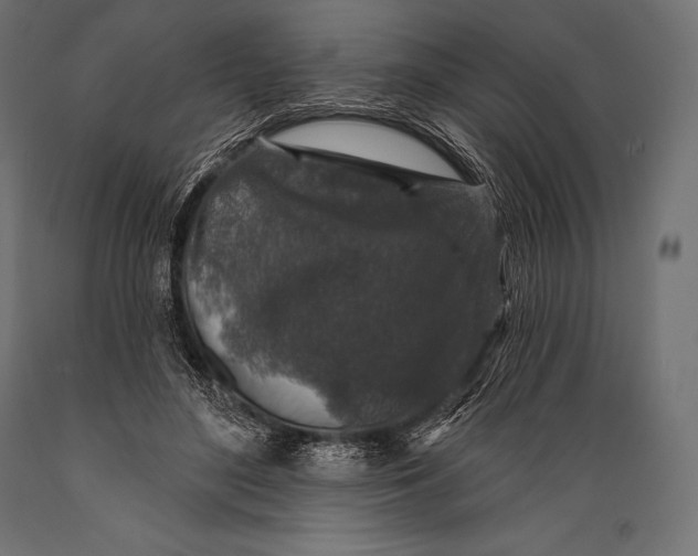 X0000088880500200706291606