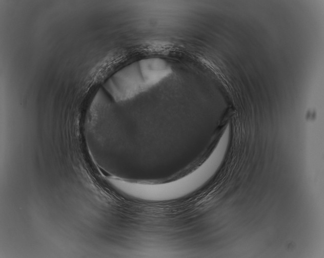 X0000088880504200706291606