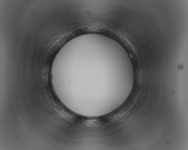 X0000088880505200706291606