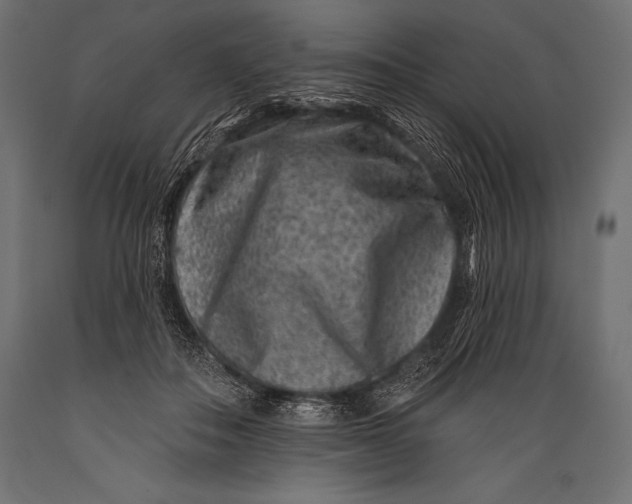 X0000088880506200706291606