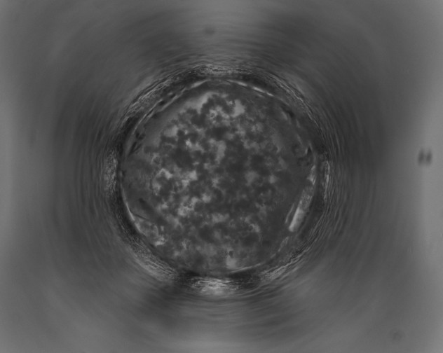 X0000088880507200706291606