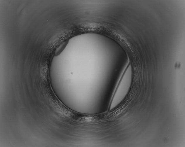 X0000088880509200706291606