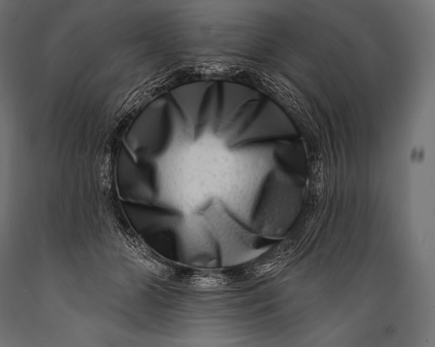 X0000088880510200706291606