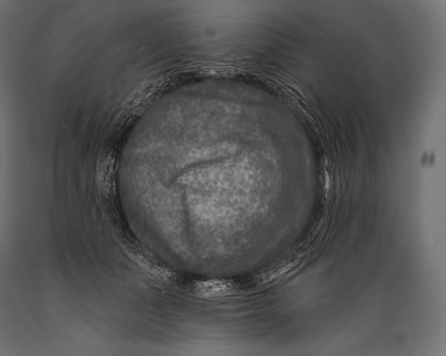 X0000088880511200706291606